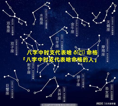 八字中时支代表啥 🦊 命格「八字中时支代表啥命格的人」